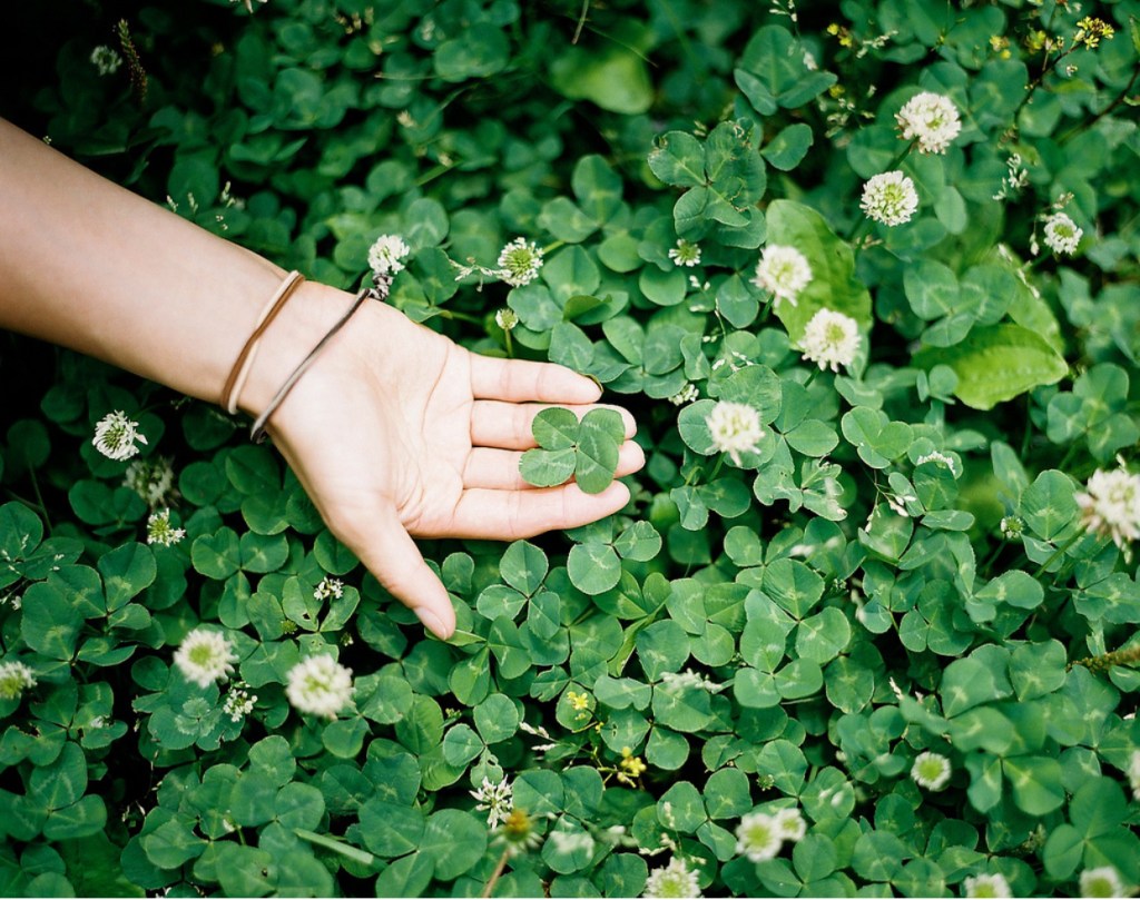 Şanslıyız Biz Çoook&nbsp;Şanslıyız!:)