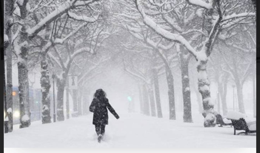 Kar Küresi Bizleri:)