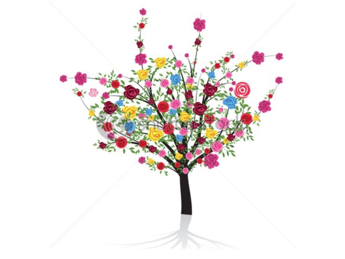 İŞARET EDİYORUM!!!